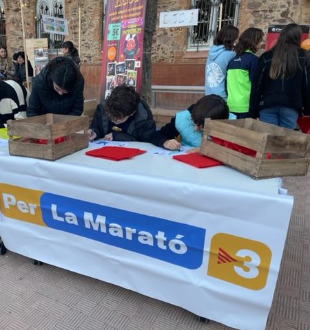 mercat solidari de nadal 10